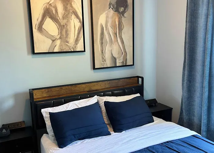 Blue In Dorothy's Bed and breakfast Chicago